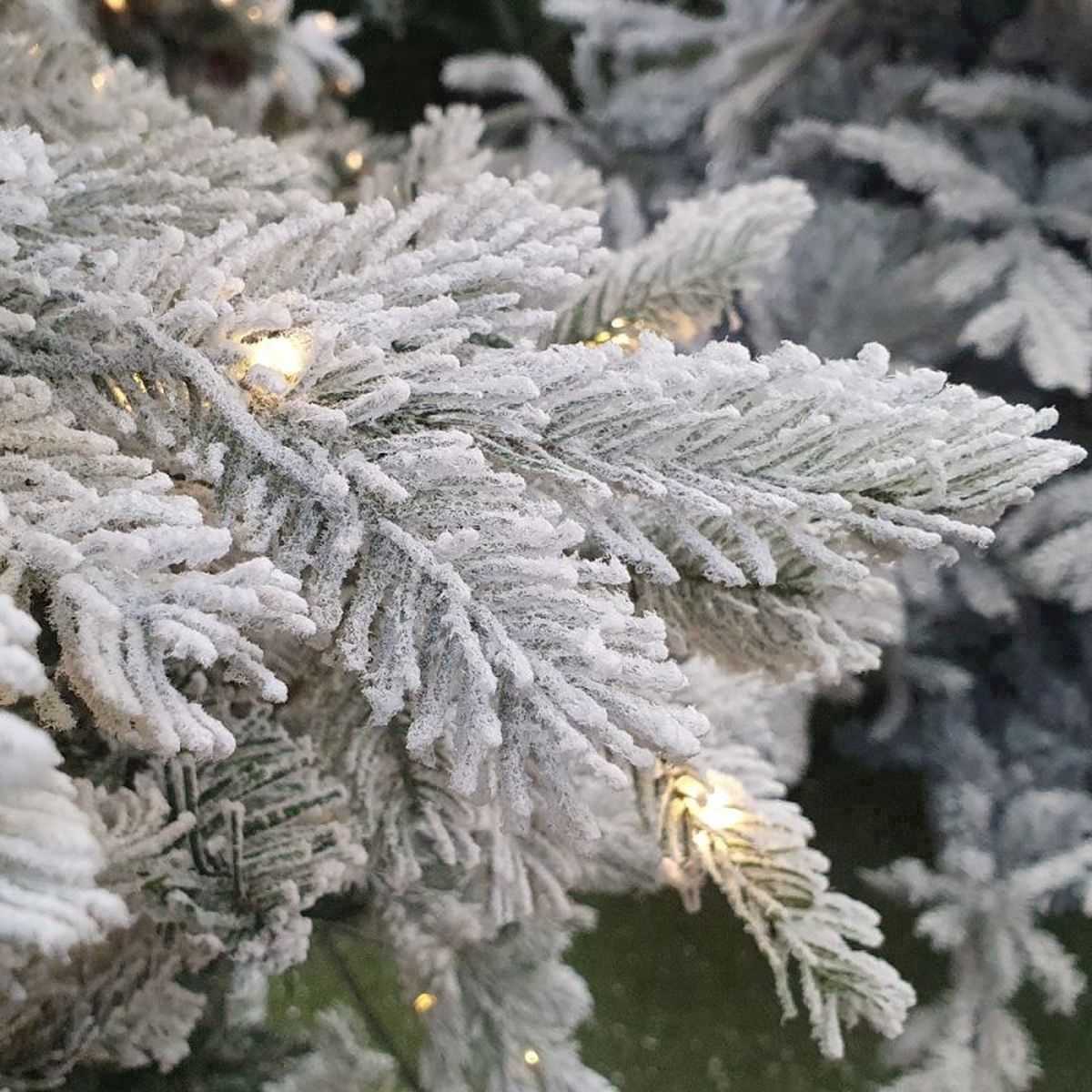 7FT Snowy Grandis Fir Pre-Lit Kaemingk Everlands Artificial Christmas Tree | AT64